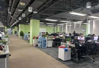 重庆大型辣椒设备公司