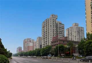 上海购买柴油机铲车工厂直销