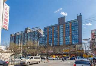 足球场地剪草机现货