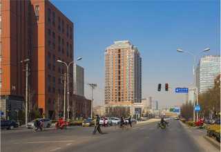 宝山区地道三文鱼价位